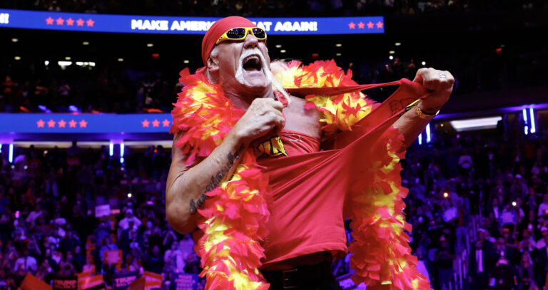 Hulk Hogan’s roles as movie star, media crusader and MAGA hypeman had a major impact outside of the ring